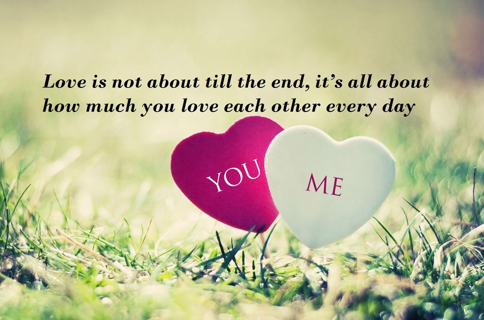 Love Quotes For My Darling