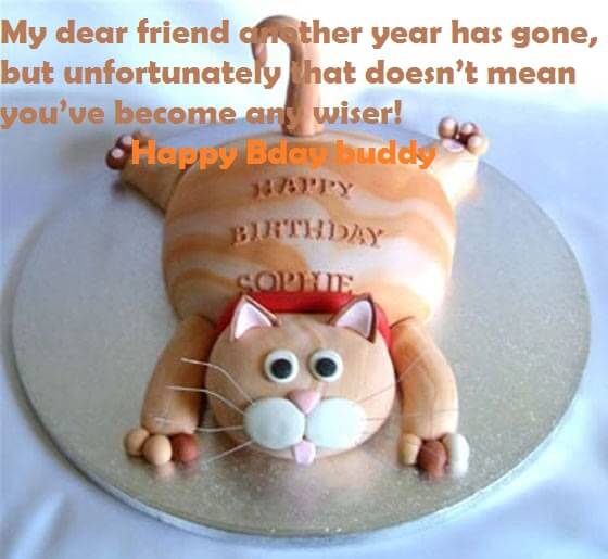 Birthday Funny Cake Quotes For Friend