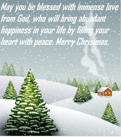 Merry Christmas Greeting Cards Wishes 