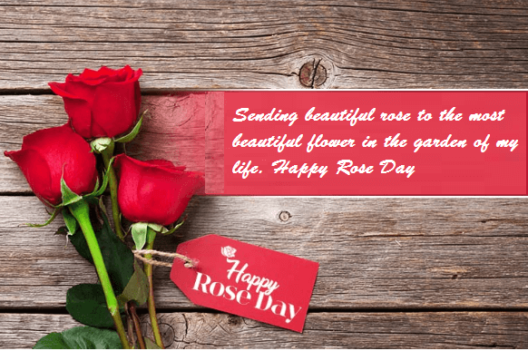 Happy Rose Day Love Images