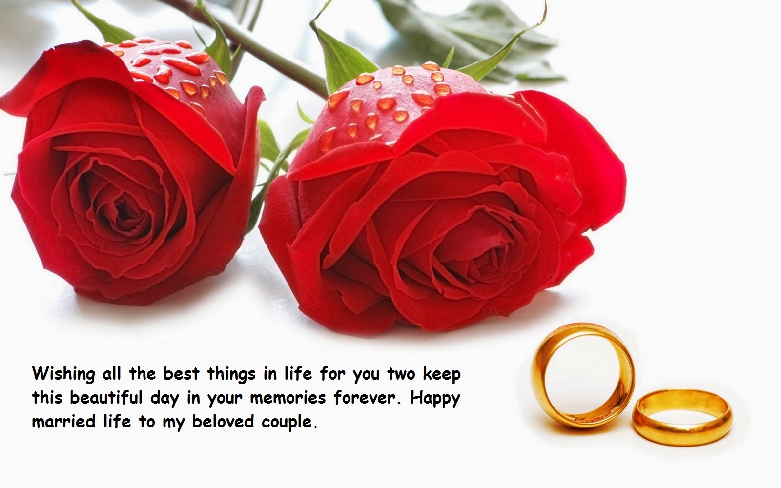 Happy Married Life Greeting Cards Quotes | Best Wishes