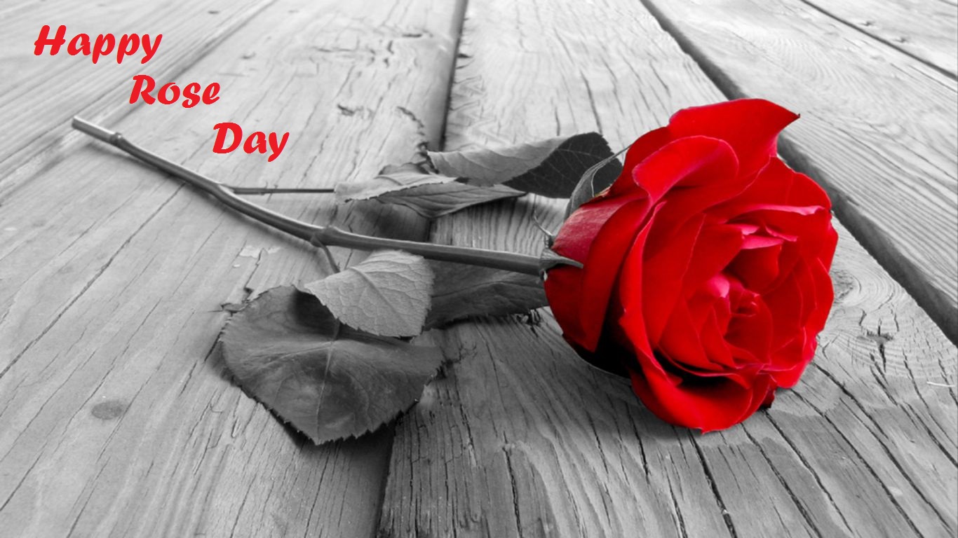 Happy Rose Day 2017 Wishes With Images | Best Wishes