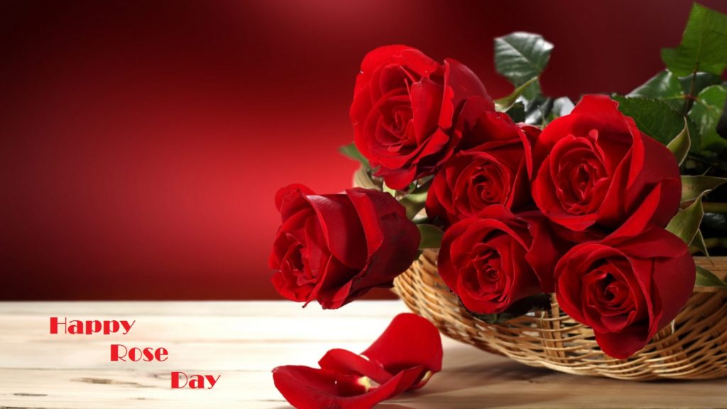 Happy Roses Day Images Wishes