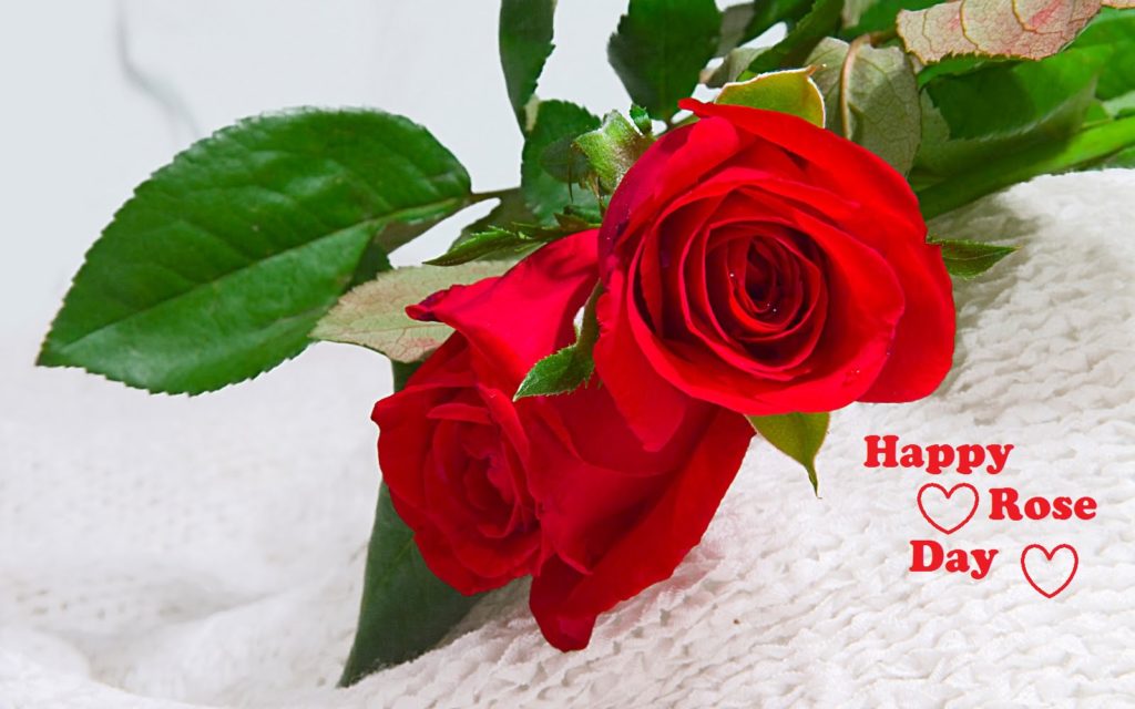 Happy Roses Day Images With Wishes