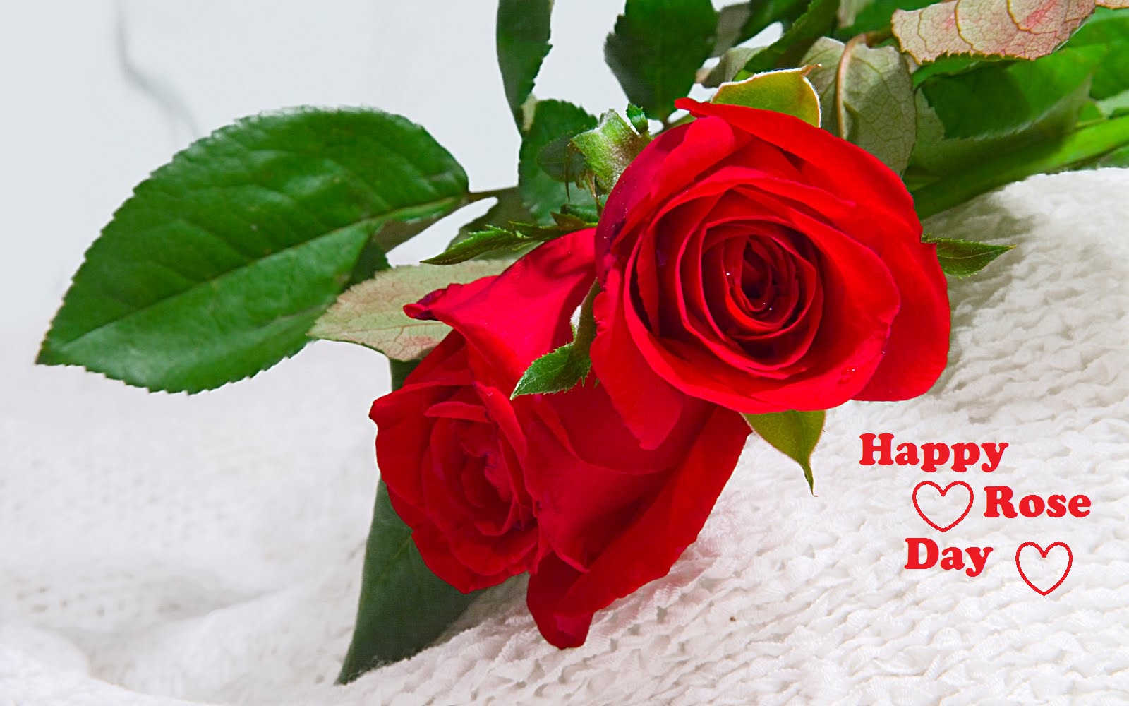 Happy Roses Day Images With Wishes | Best Wishes