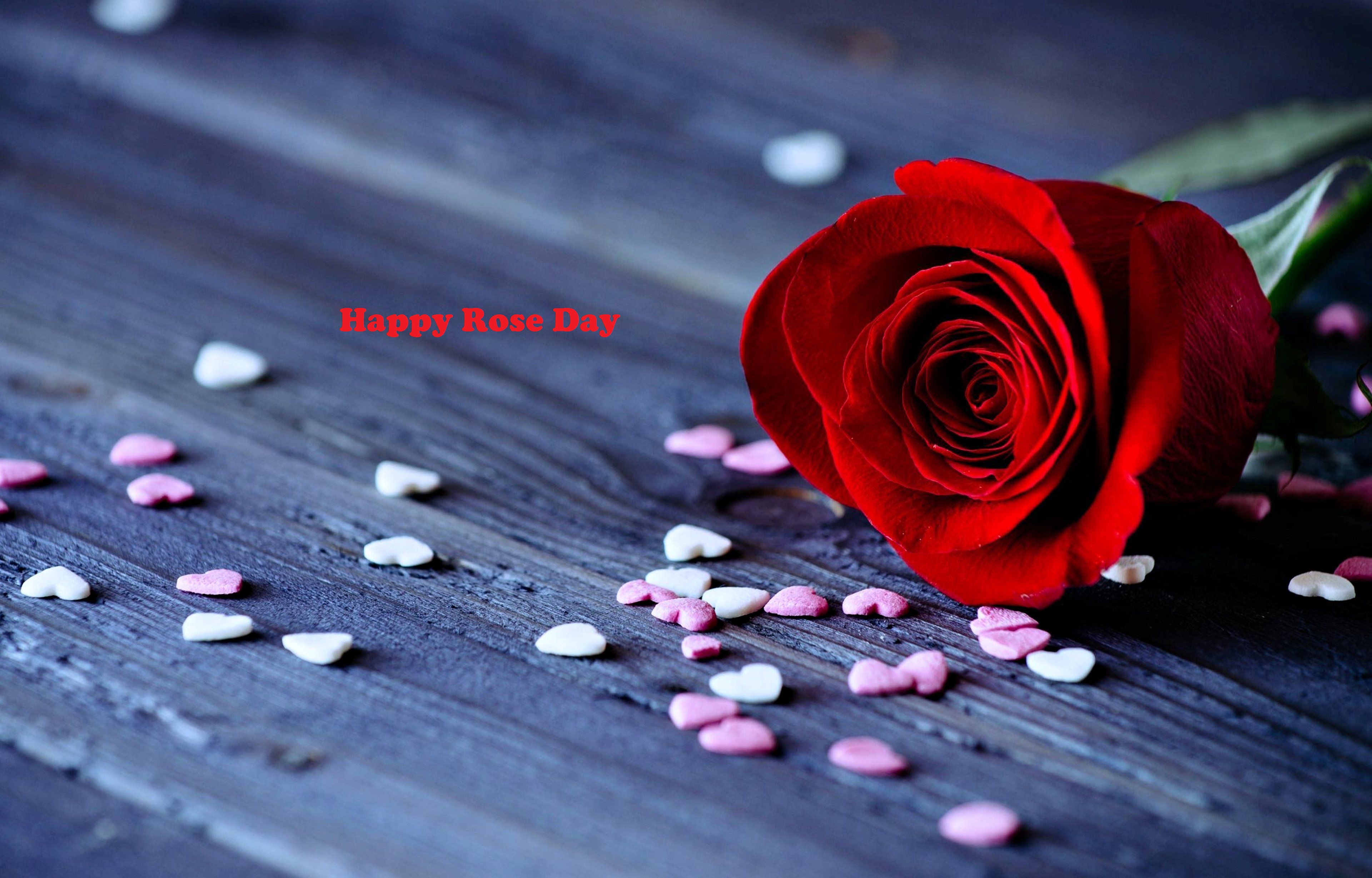 Happy Roses Day Wishes Pics 2017