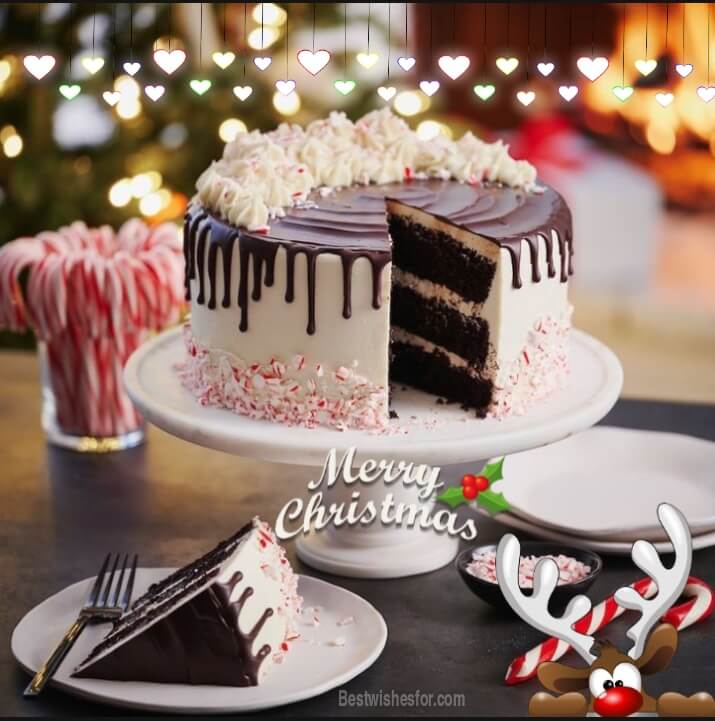 Merry Christmas Cake Images For My Love