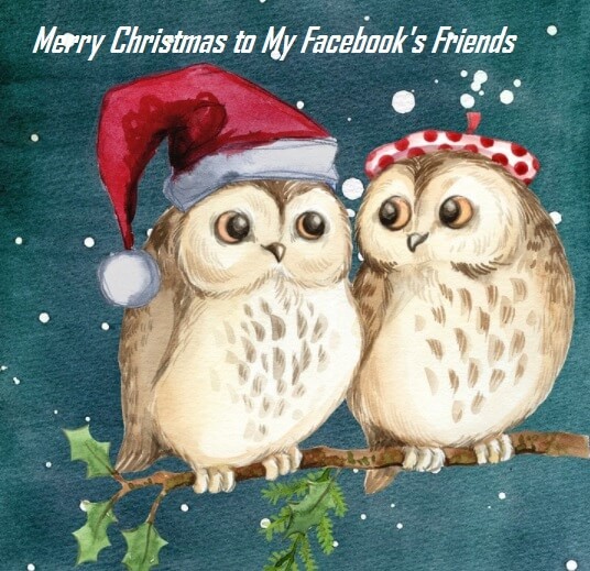 Merry Christmas Facebook Wishes Status