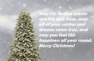 Merry Christmas Greeting Cards, Quotes Sayings | Best Wishes