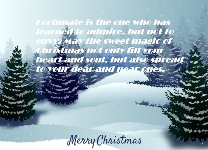Merry Christmas Greeting Message Sayings