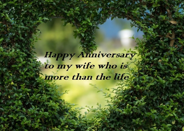 Sensible Anniversary Quotes For Wife