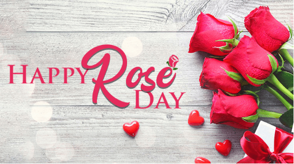 Happy Rose Day Images 2019