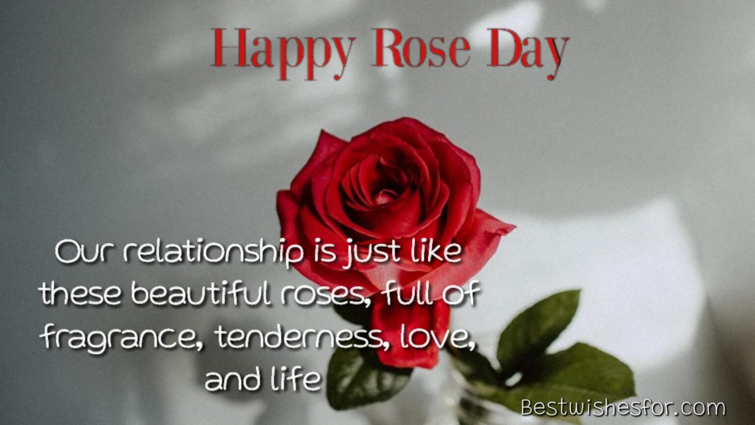 Happy Rose Day Wishes Messages and Sayings Cards | Best Wishes