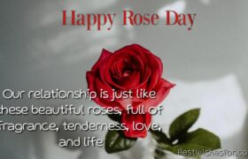 Happy Rose Day Wishes Images For My Love