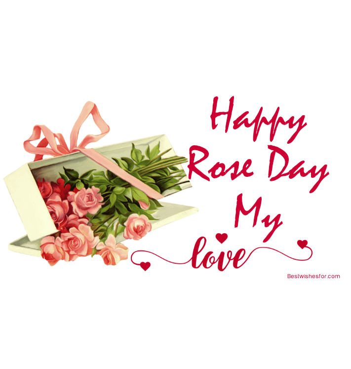 Rose Day Wishes Images For My Love