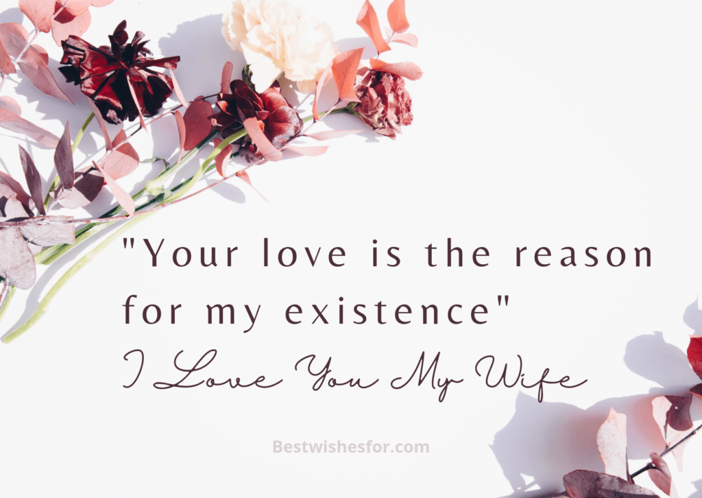 I Love You Quotes For Wife