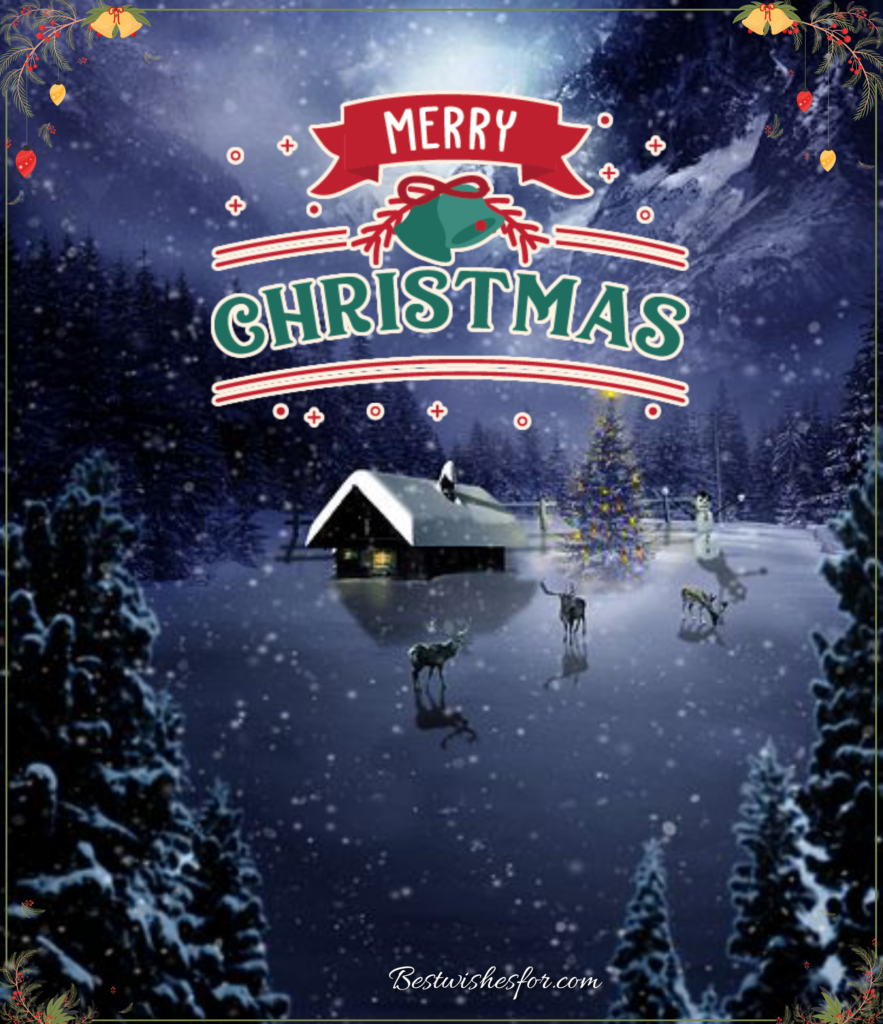 Merry Christmas Sayings Cards