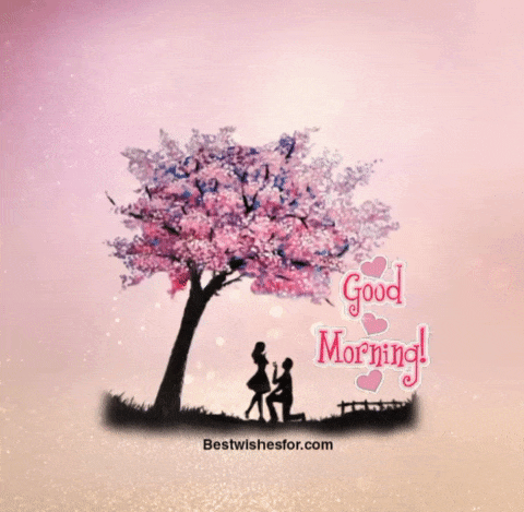 Good Morning My Love Gif | Best Wishes