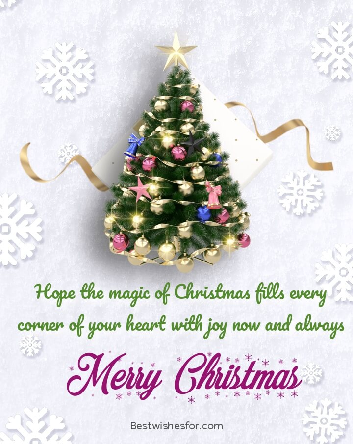 Christmas Beautiful Greetings Cards