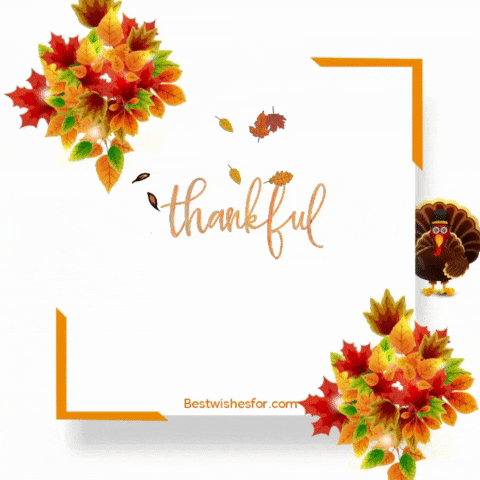 Happy Thanksgiving 2022 Gif Animated | Best Wishes