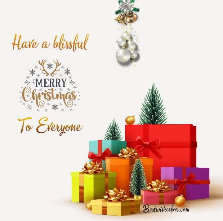 Merry Christmas Wishes 2022 For Everyone