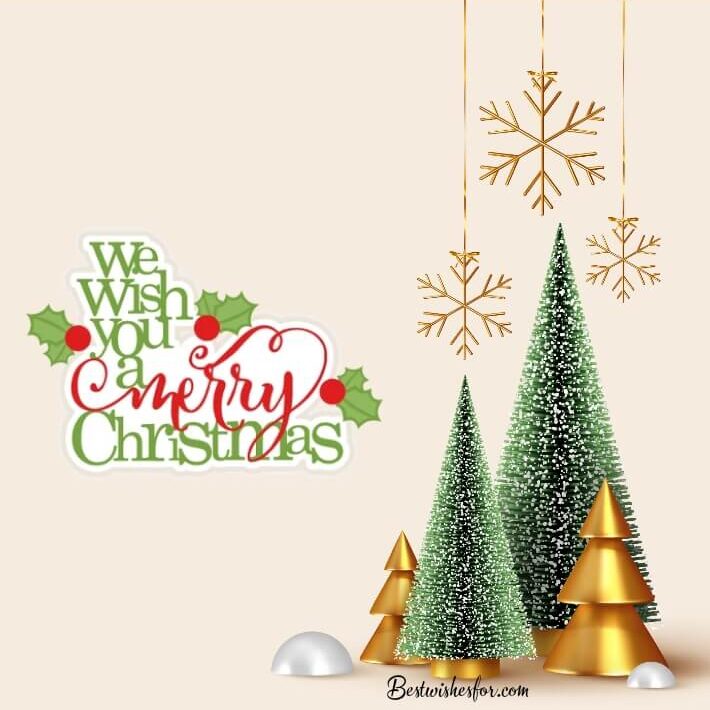 We Wish You A Merry Christmas Season