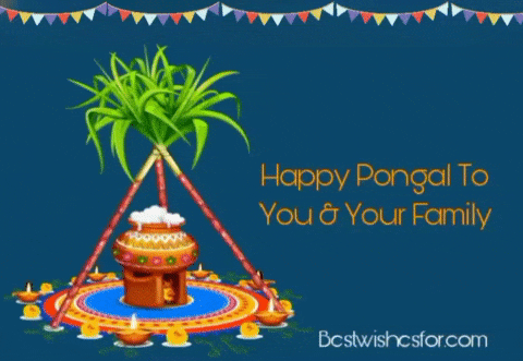 Happy Pongal 2023 Gif Animated Images Wishes | Best Wishes