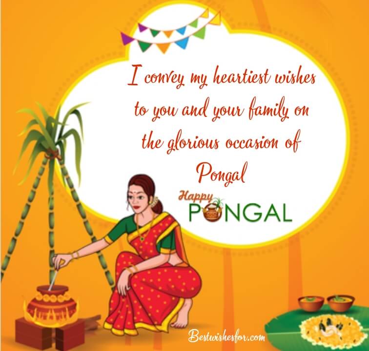 Happy Pongal Greetings For All