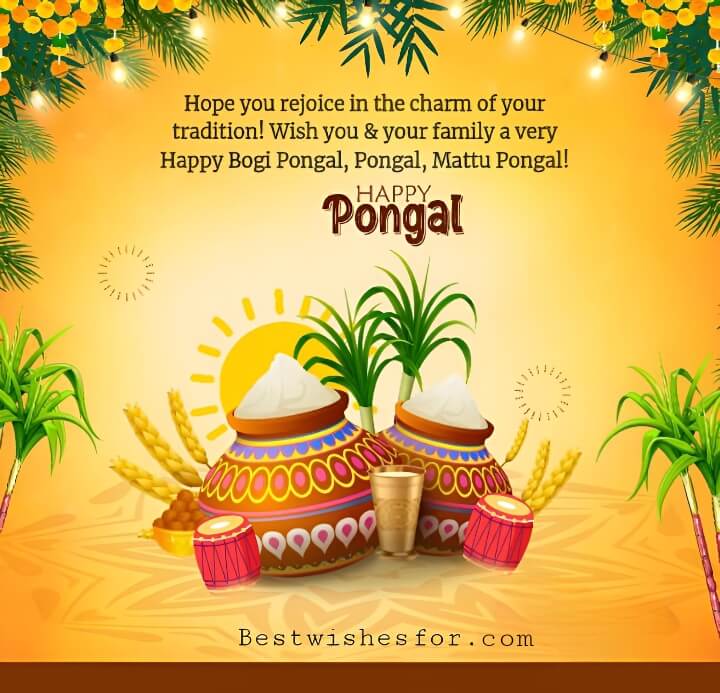 Happy Pongal Greetings Wishes