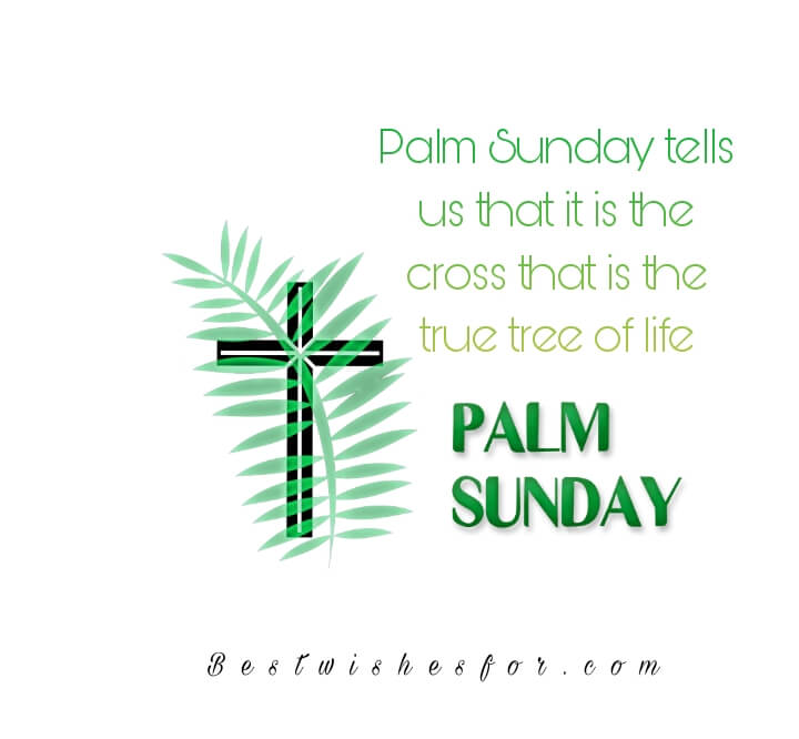 Palm Sunday 2023 Messages