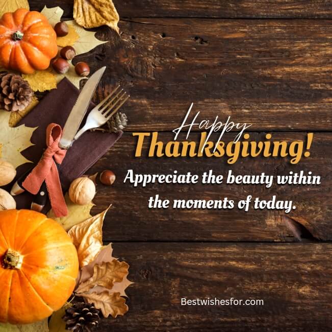 Happy Thanksgiving Words of Appreciation