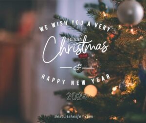 Merry Christmas and Happy New Year 2024