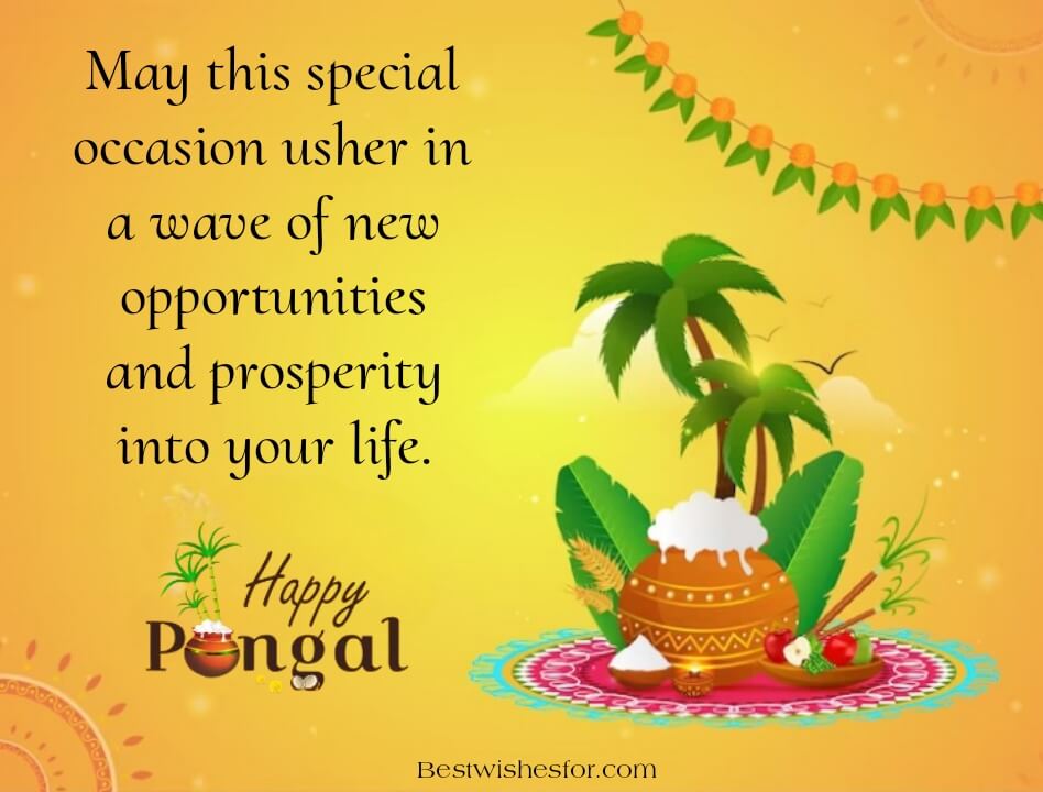 Happy Pongal 2024 Wishes Images