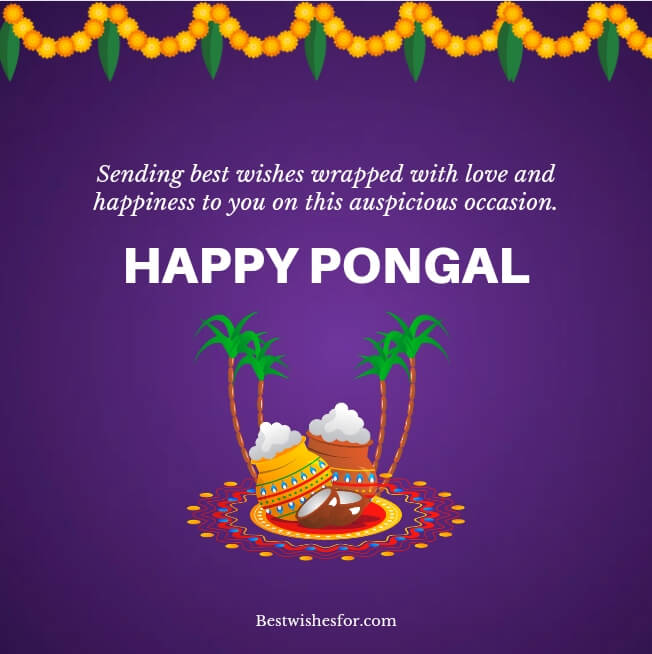 Happy Pongal 2024 Wishes