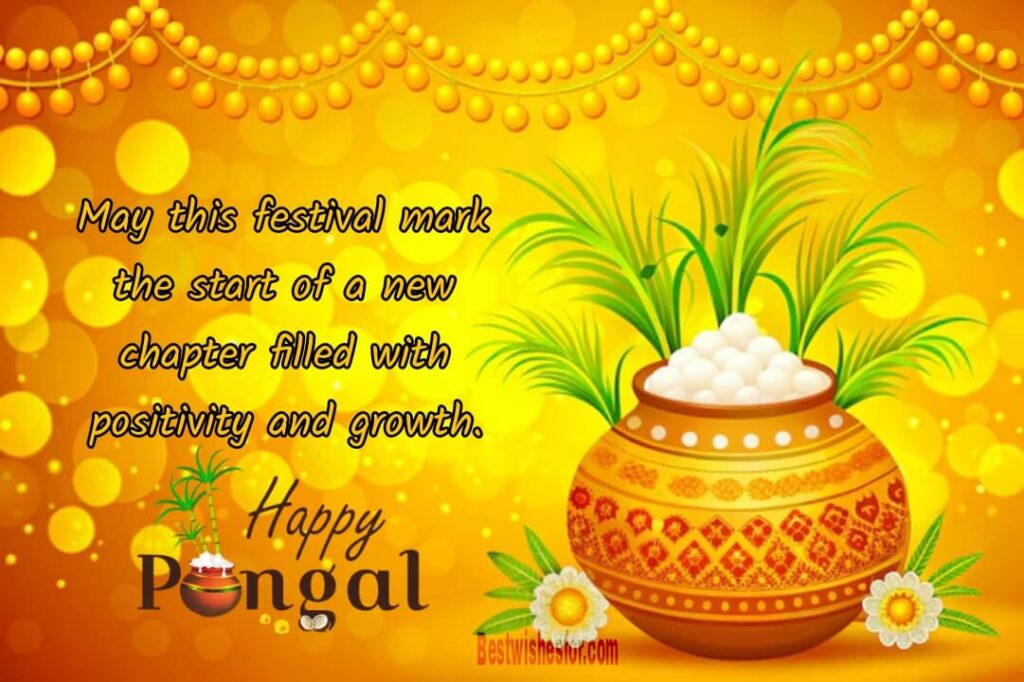 Happy Pongal 2025 Wishes