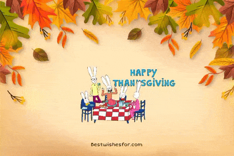 Thanksgiving Funny Gif 2025