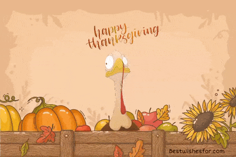 Thanksgiving Gif Funny