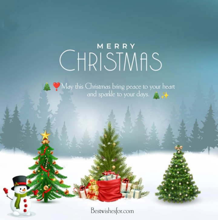 Merry Christmas Status 2025