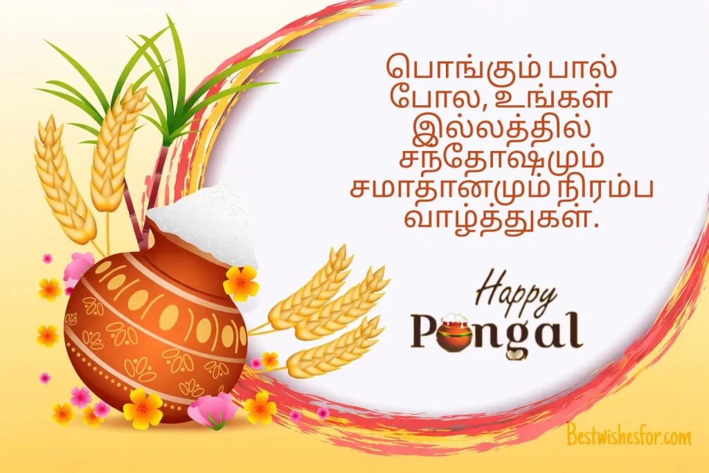 Pongal Greeting in Tamil