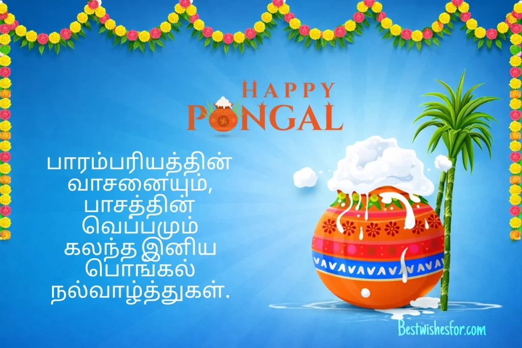 Pongal Wishes in Tamil