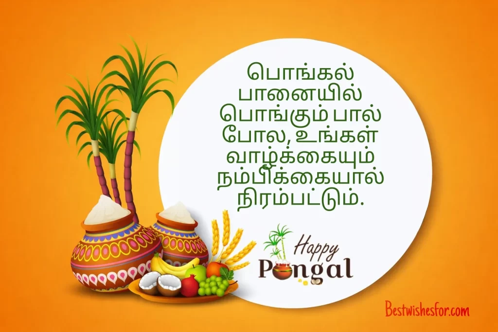 Tamil Pongal Wishes 2026