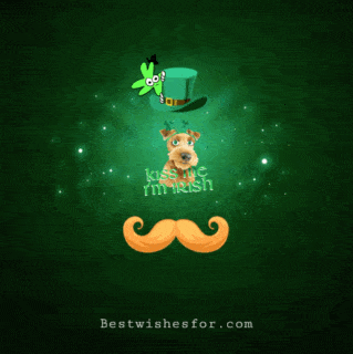 St. Patrick's Day Funny Gifs